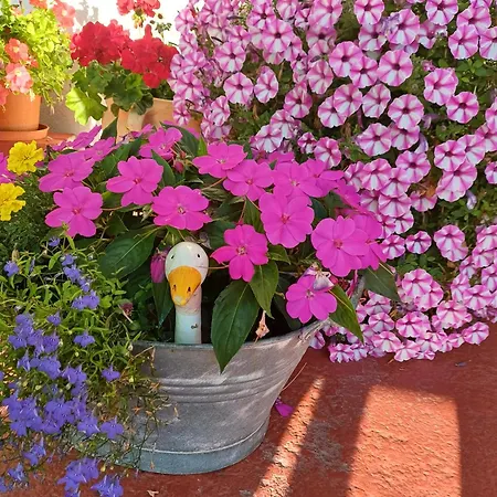 ベッド・アンド・ブレックファスト Haus Barbara 3*