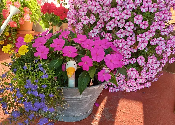 Bed and breakfast Haus Barbara 3*